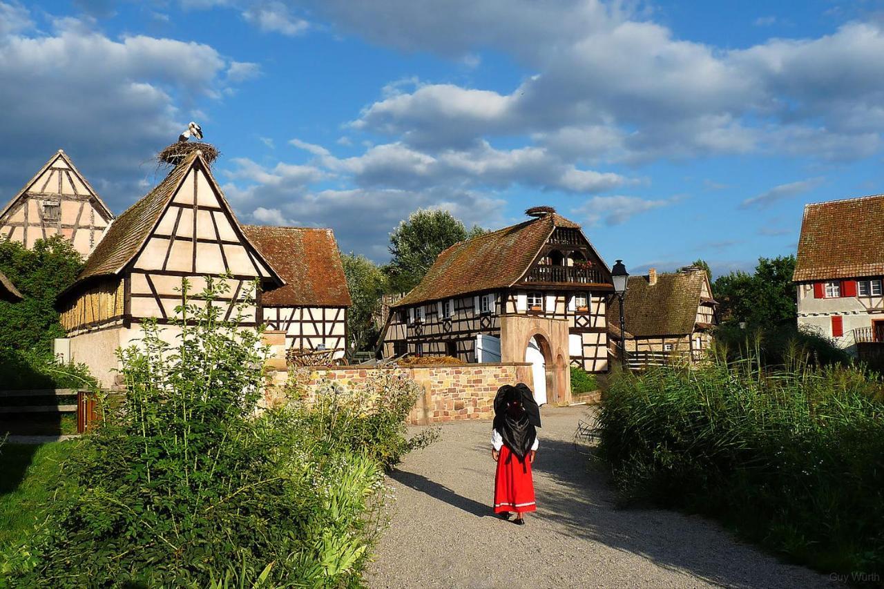 Chez Christian Apartment Breitenbach-Haut-Rhin ภายนอก รูปภาพ