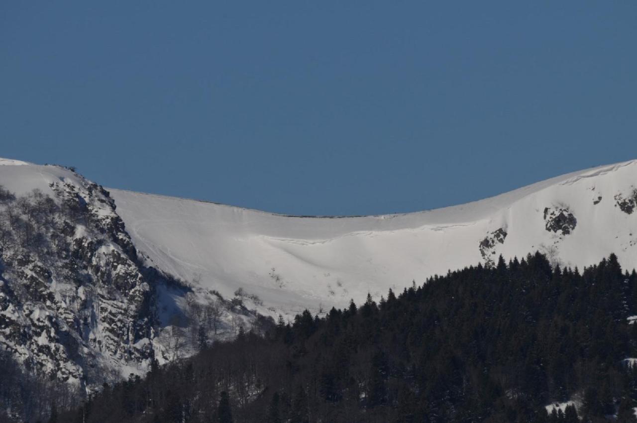Chez Christian Apartment Breitenbach-Haut-Rhin ภายนอก รูปภาพ