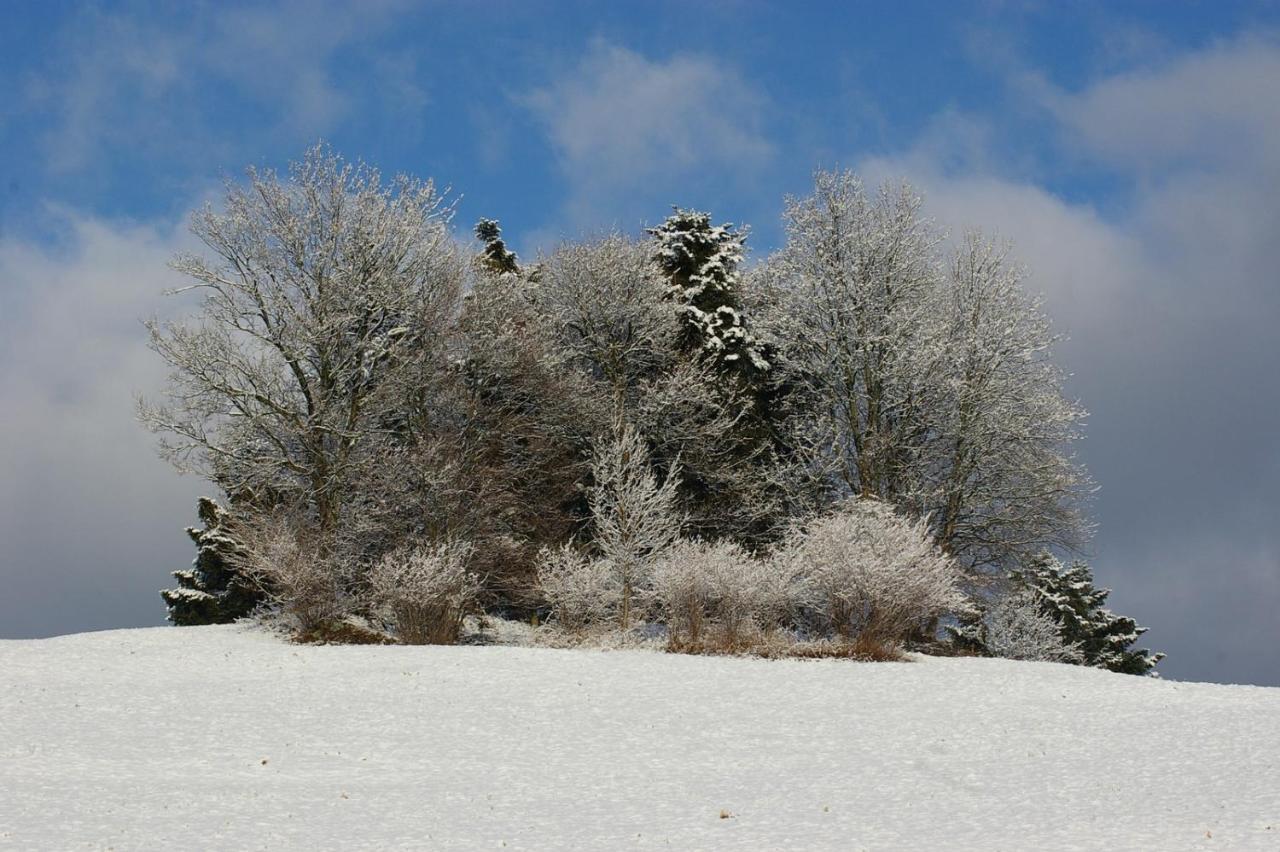 Chez Christian Apartment Breitenbach-Haut-Rhin ภายนอก รูปภาพ