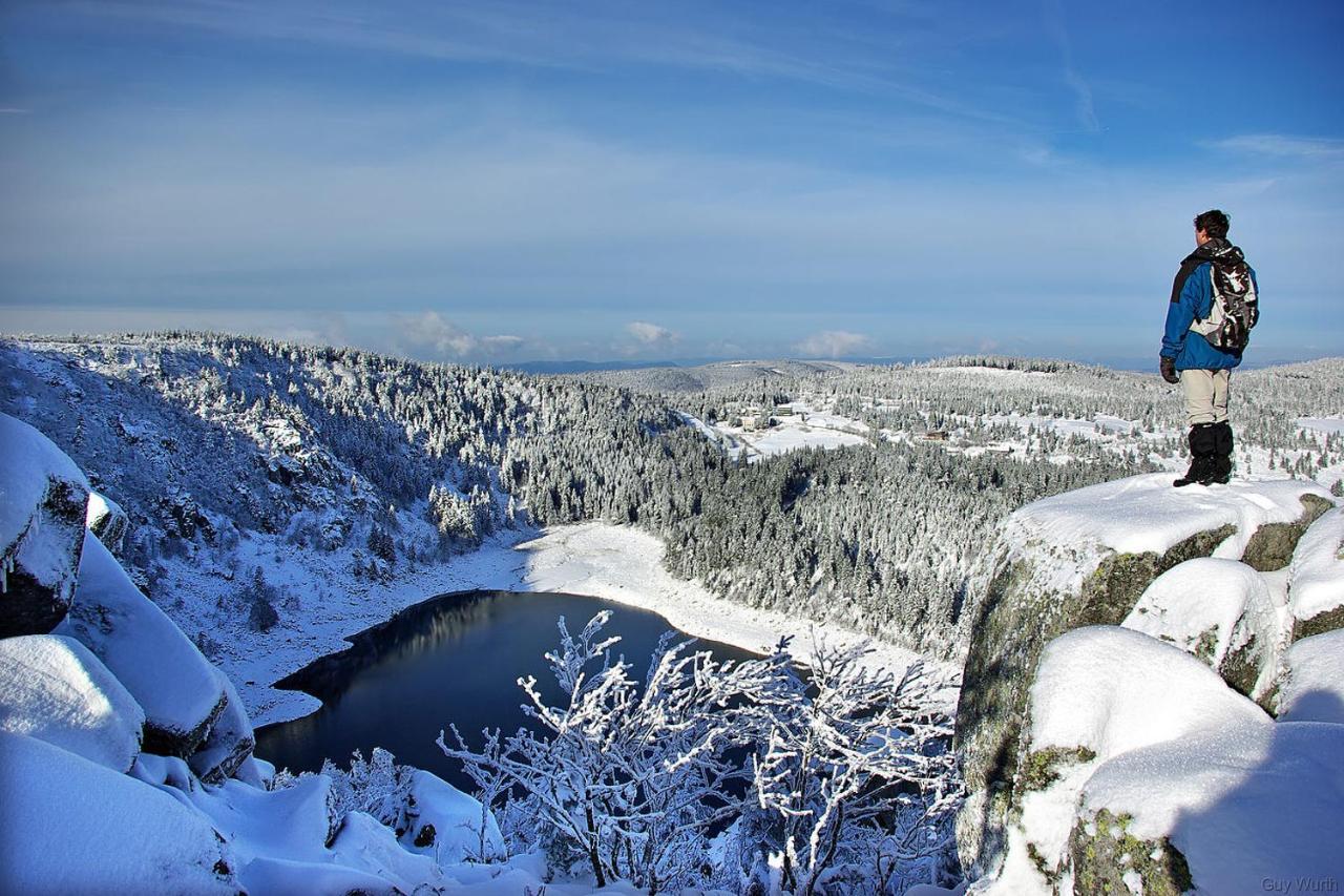 Chez Christian Apartment Breitenbach-Haut-Rhin ภายนอก รูปภาพ