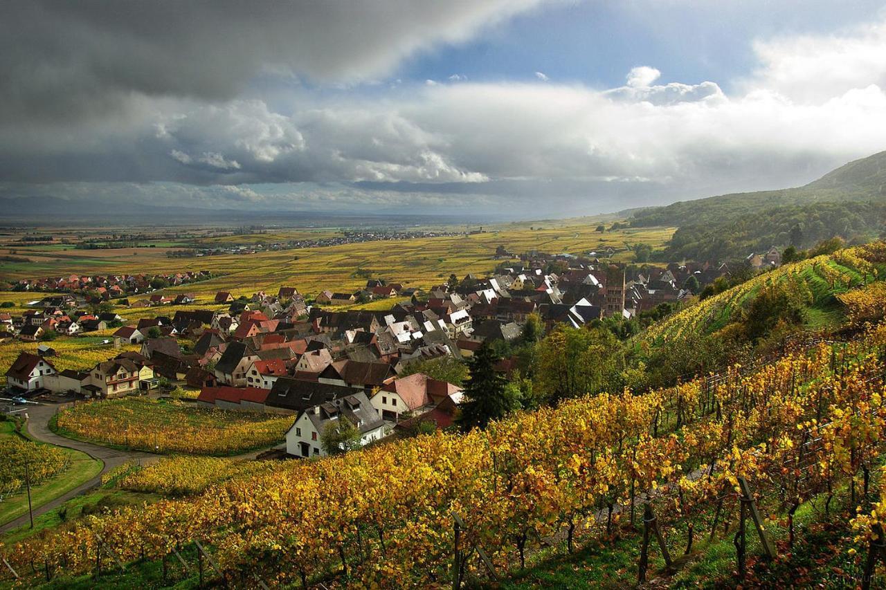 Chez Christian Apartment Breitenbach-Haut-Rhin ภายนอก รูปภาพ