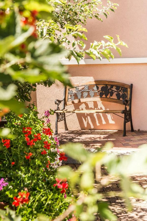 Chez Christian Apartment Breitenbach-Haut-Rhin ภายนอก รูปภาพ